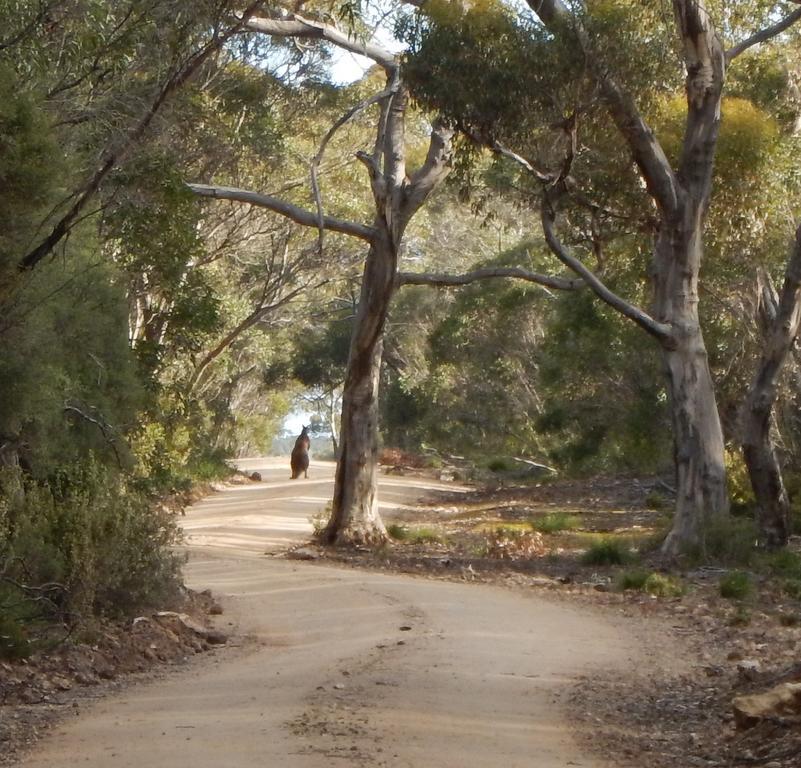 Kangaroo Island Wilderness Retreat Flinders Chase Exterior foto