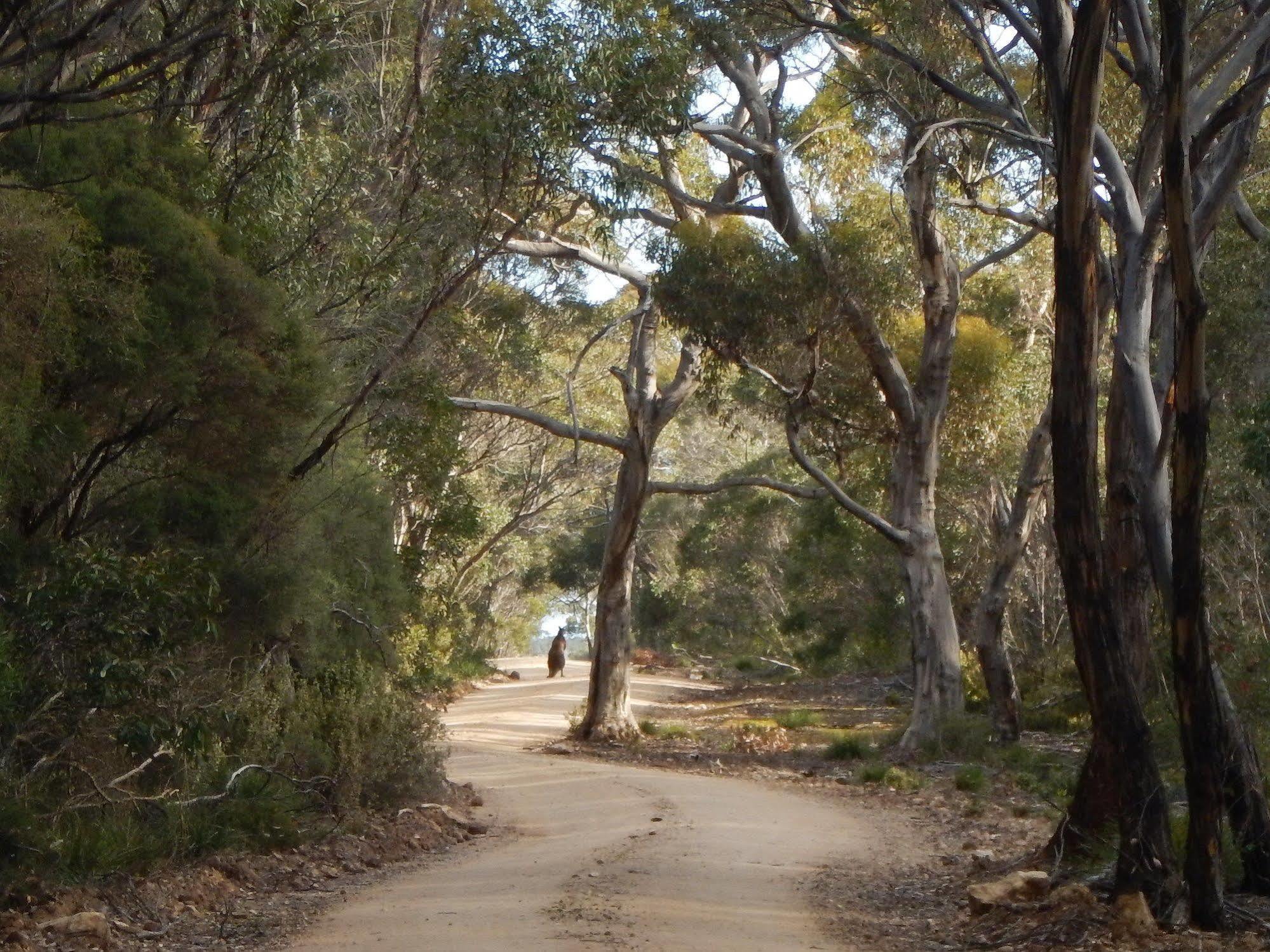 Kangaroo Island Wilderness Retreat Flinders Chase Exterior foto